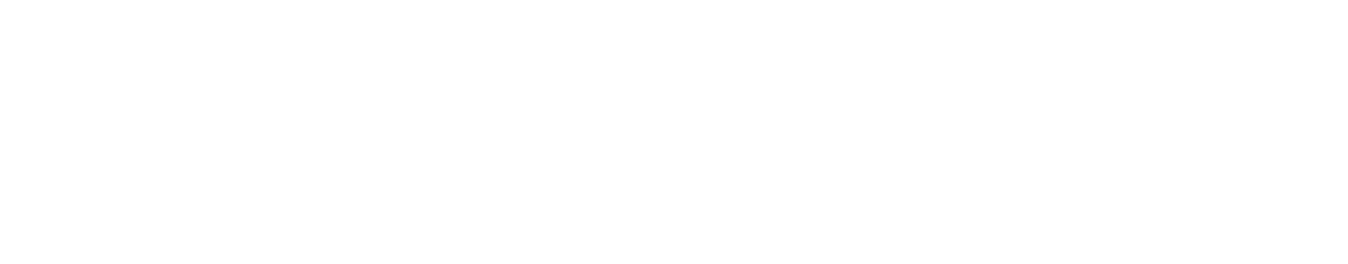 Booster Software Logo