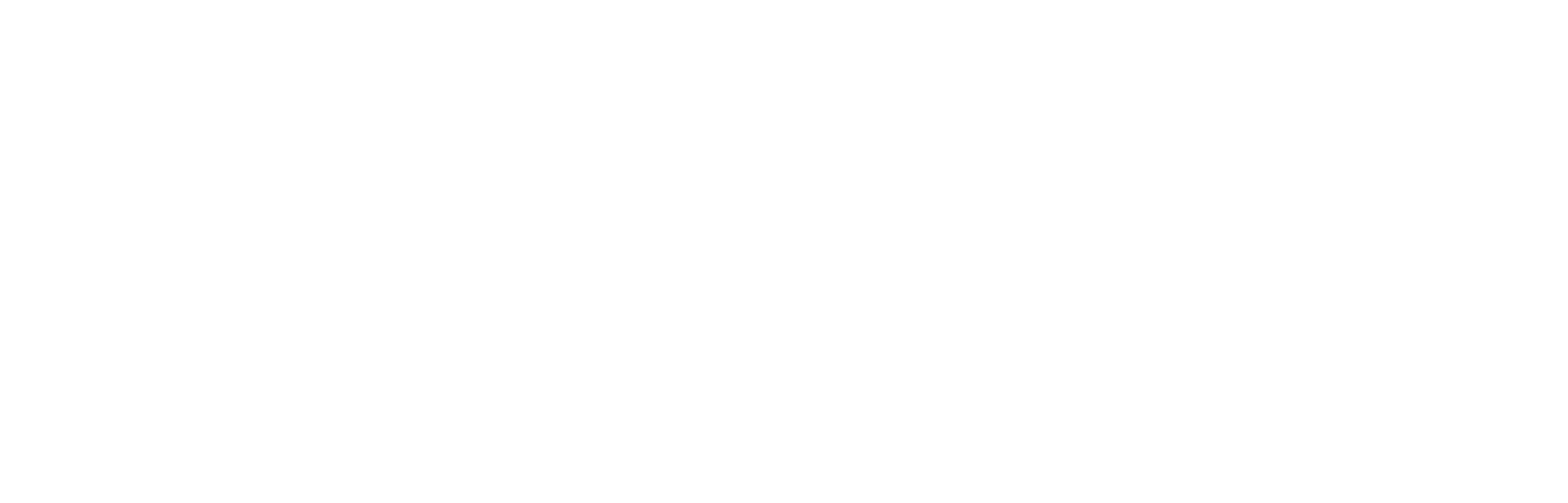 Booster Software Logo